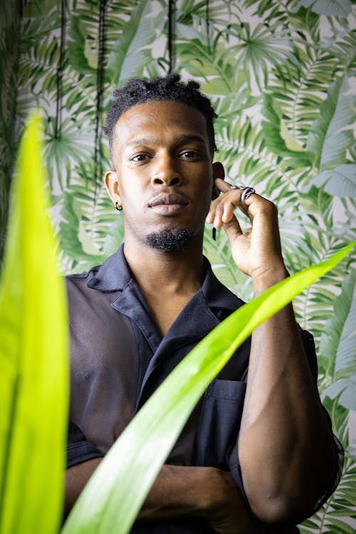 Plant in Front of a Man in a Black Shirt