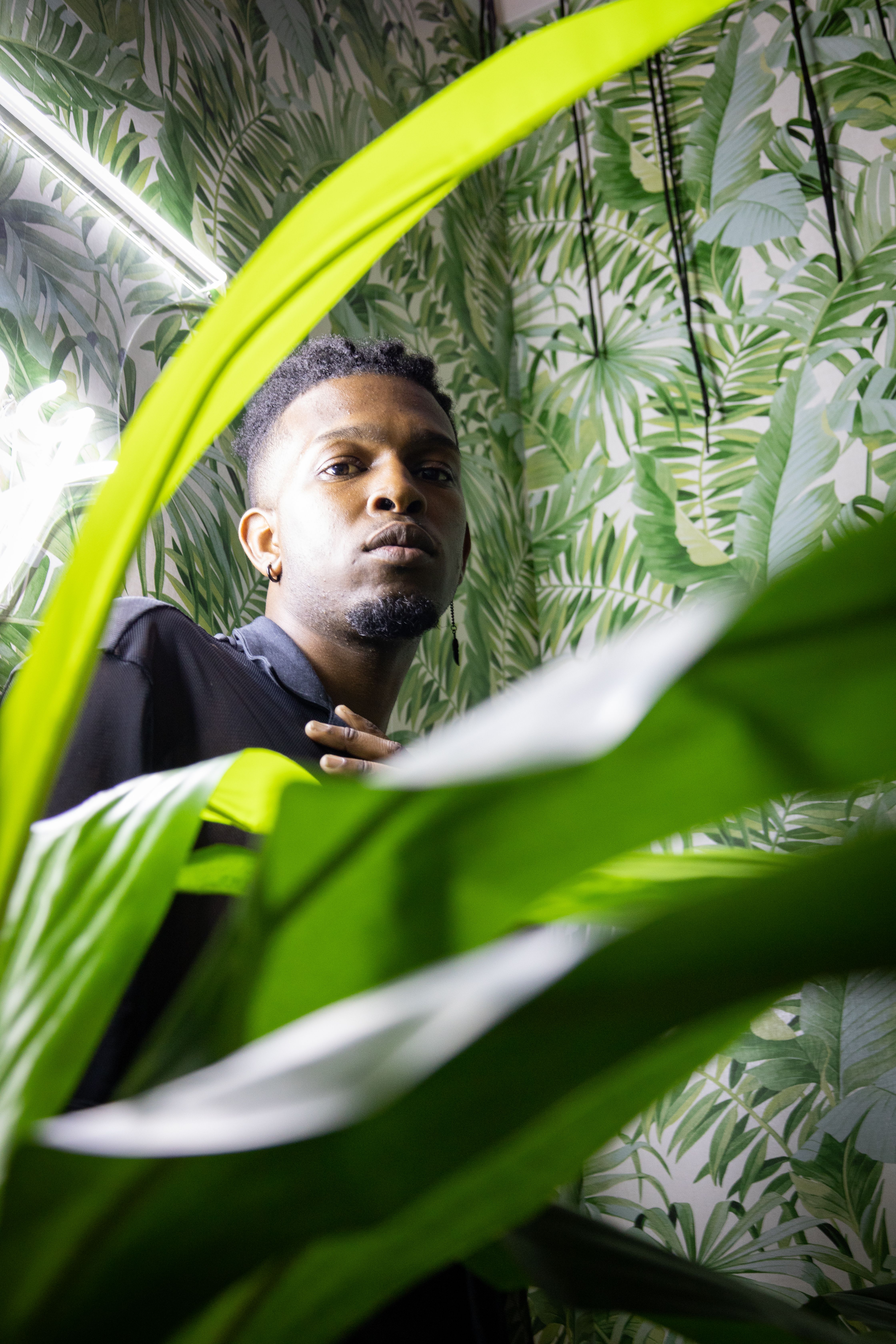 Stylish portrait of a young man in black shirt surrounded by vibrant green leaves indoors.