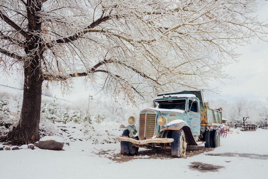 Abandoned vintage dump truck under a snow-covered tree in a serene winter scene in Reno, Nevada.