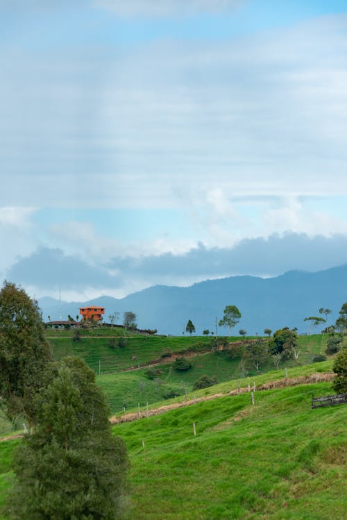 Green Hill with Trees