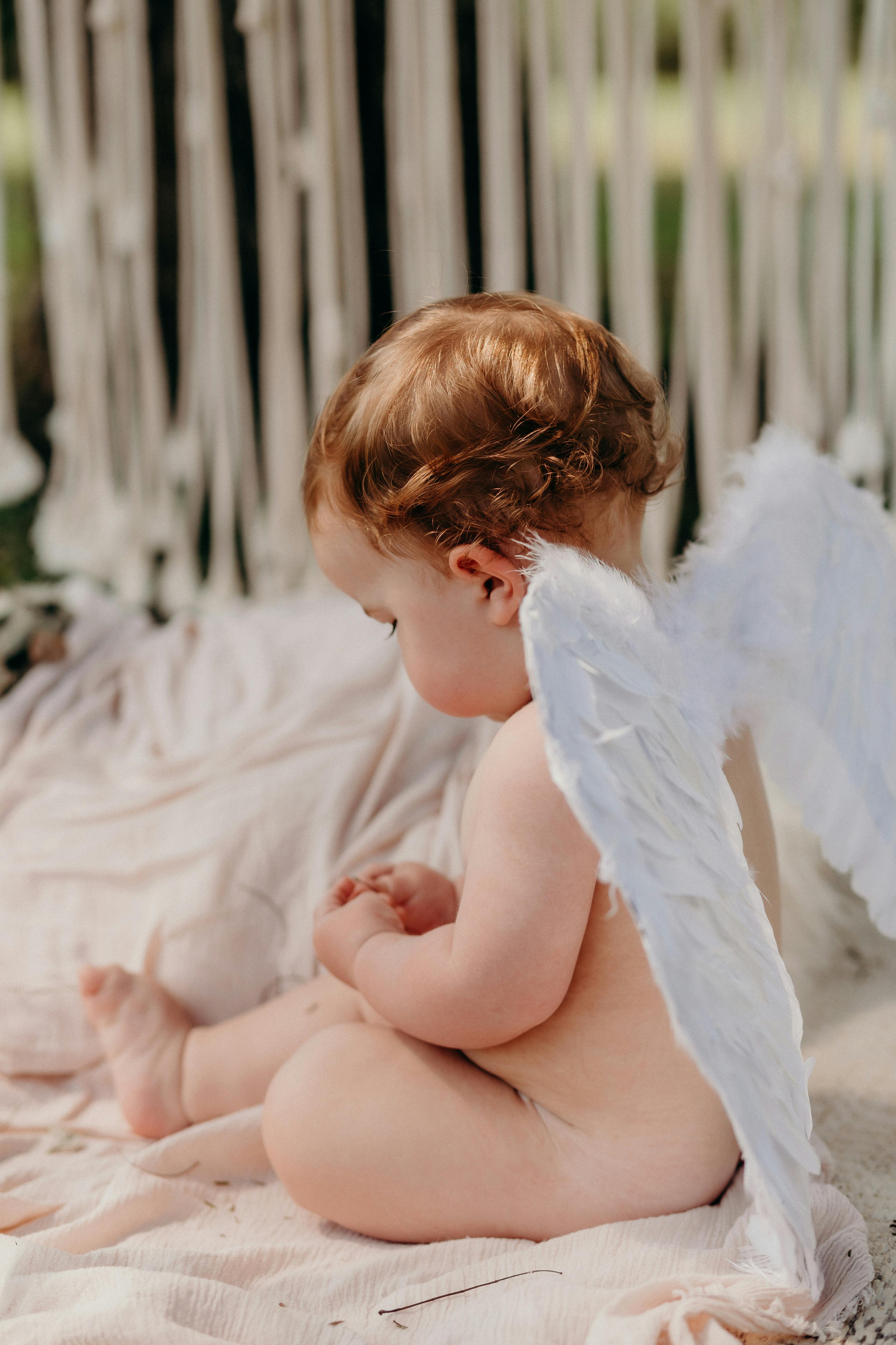 studio shoot of a baby with an angels wings