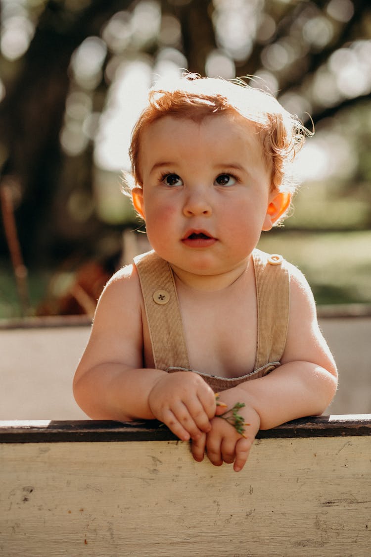 A Baby Holding A Stem