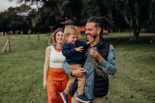 Free stock photo of boy, child, cute