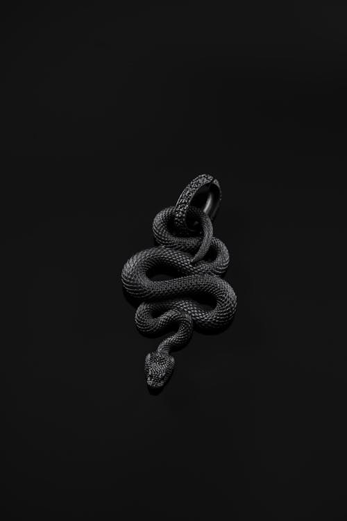 Grayscale Photo of a Snake Pendant 