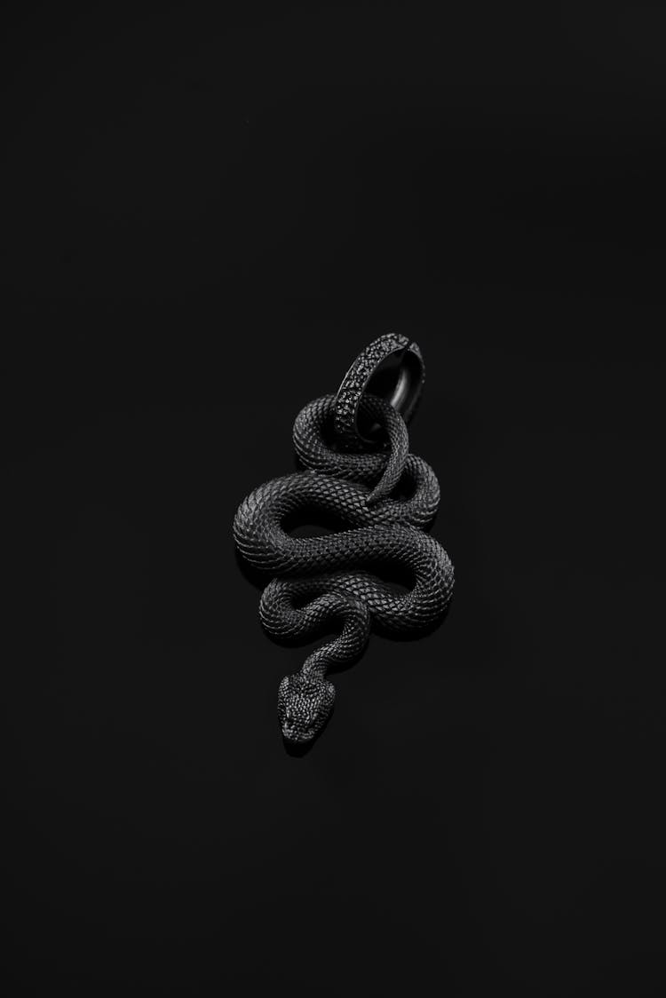 Grayscale Photo Of A Snake Pendant 