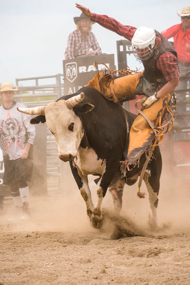 Man Riding A Bull 