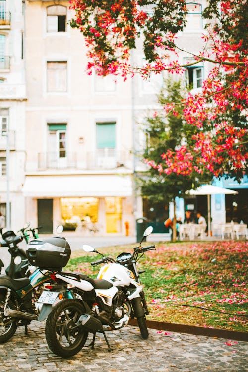 Free White and Black Motorcycle Parked Near Trees Stock Photo