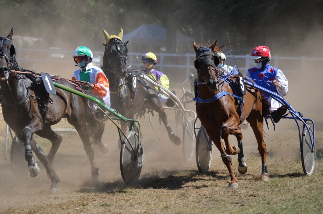 Harness Racing America Photo of Harness Racing · Free Stock Photo