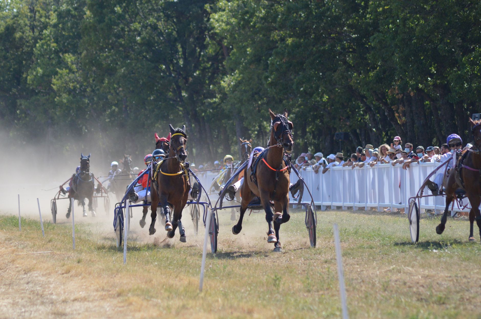 Horses and riders compete in a thrilling sulky race outdoors, with spectators watching eagerly.