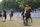 horse race