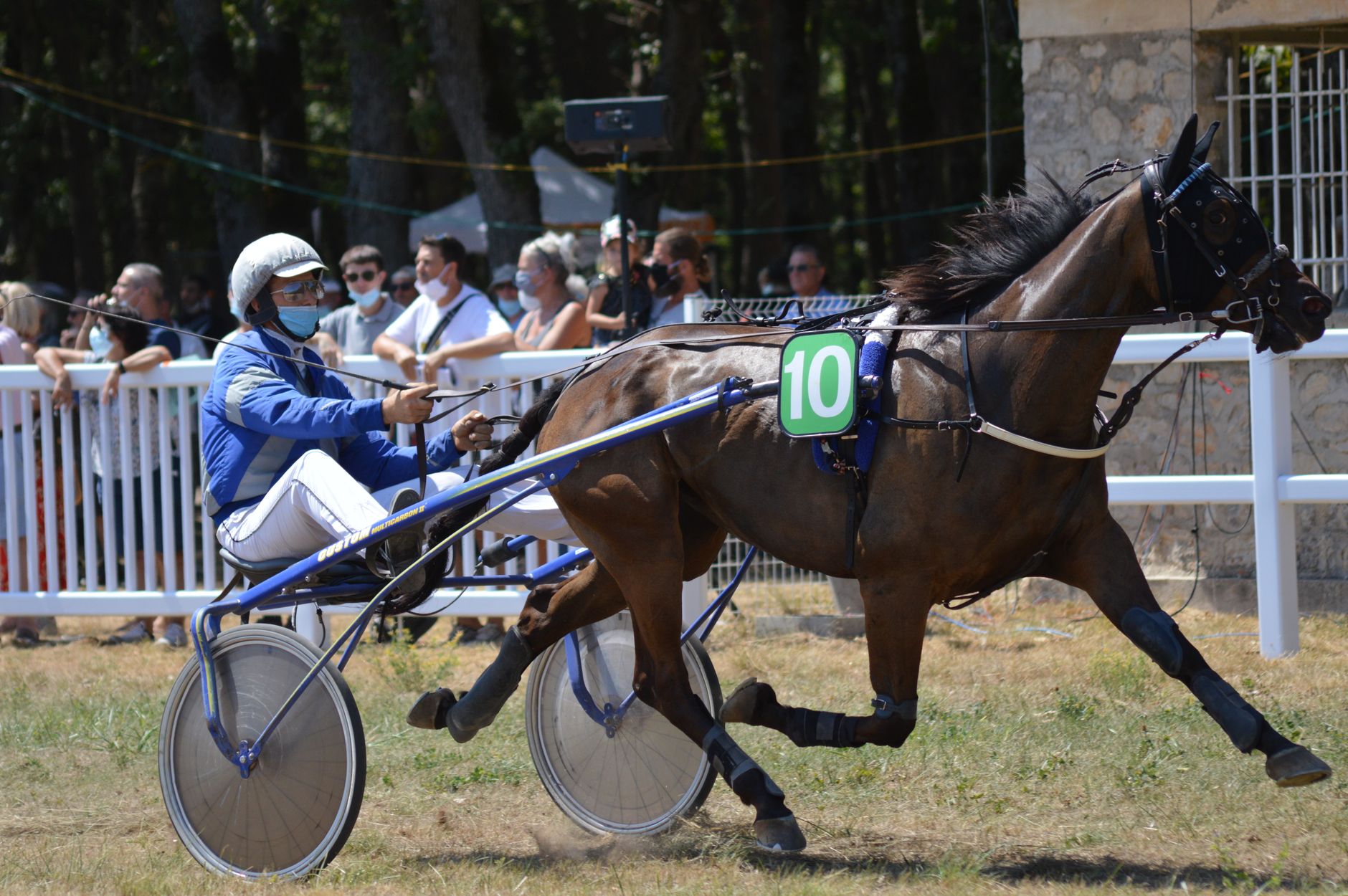 Harness racing horse and driver compete fiercely on a bright, sunny day, showcasing speed and skill.