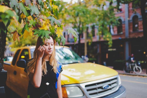 Free Rule of Thirds Photography of Girl Holding Tree Leaves Stock Photo
