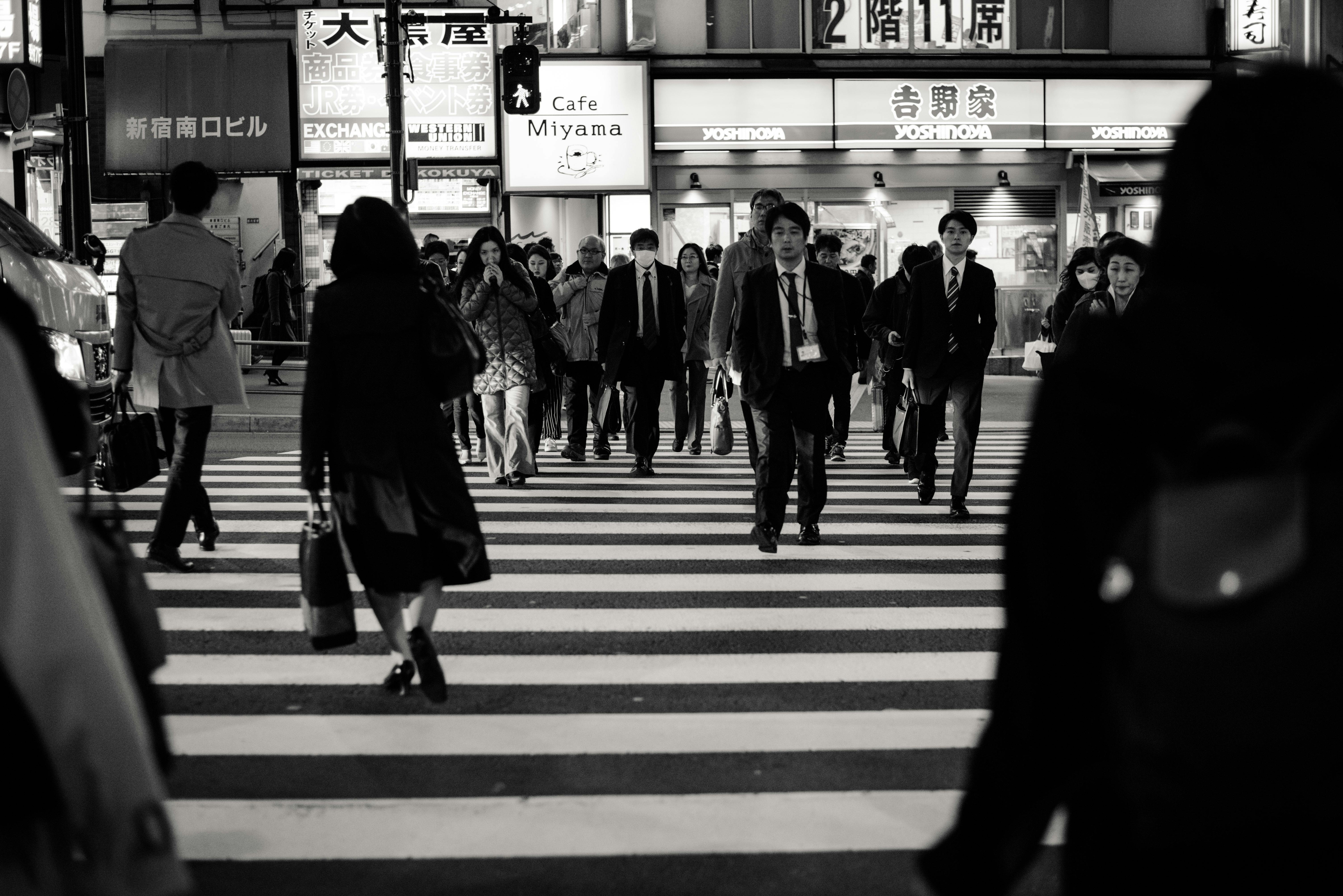 Bạch Mộc Lương Tử