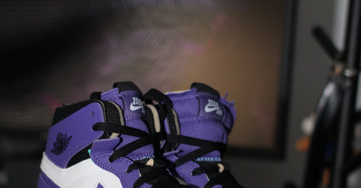 Air jordan 1 retro high og purple · Free Stock Photo
