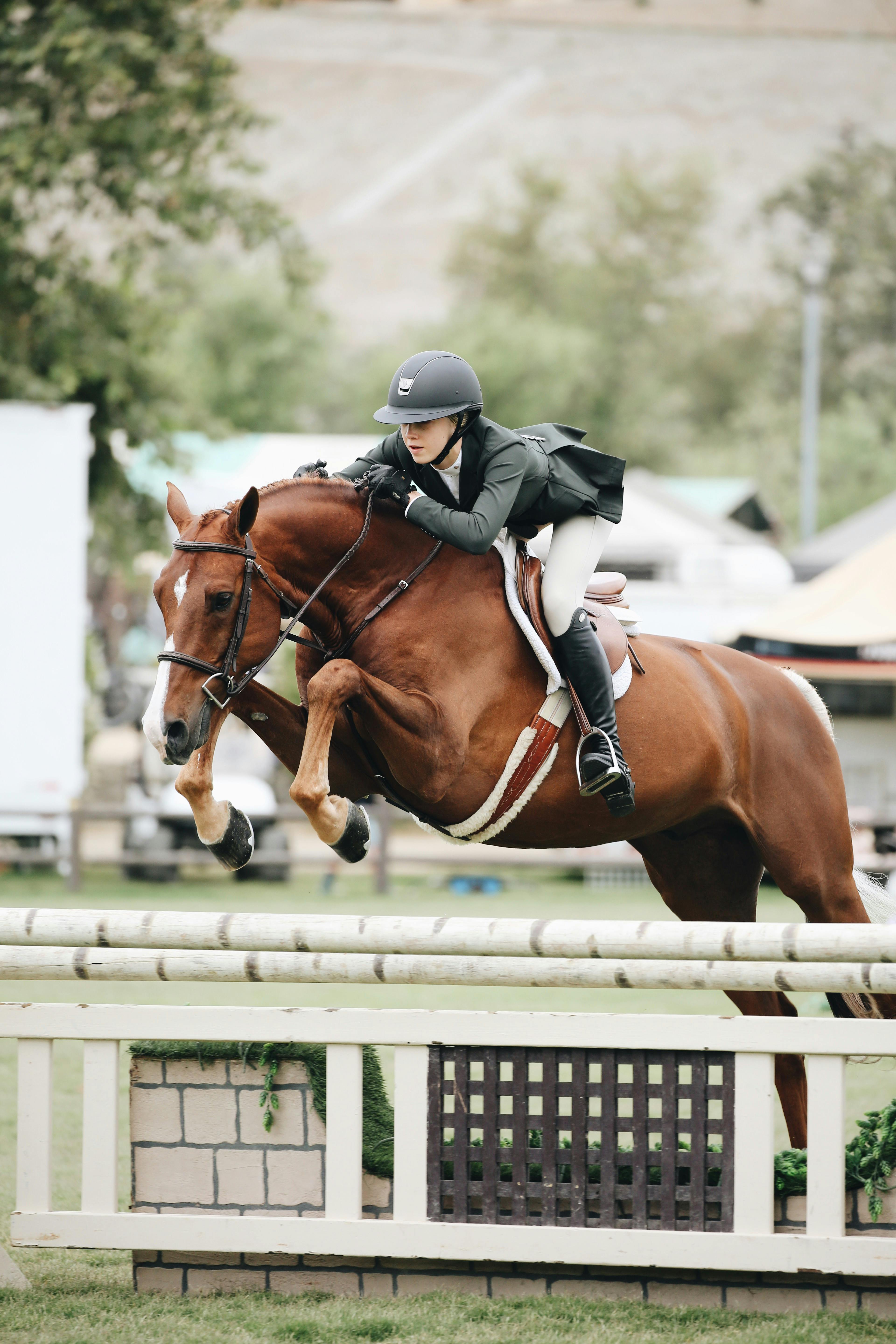 Horse Betting Apps Iphone Horse Betting Apps Iphone