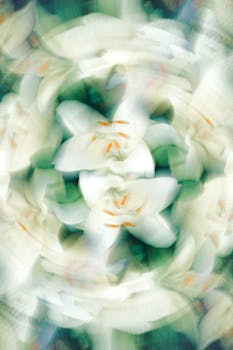 Abstract artistic depiction of white lilies in a swirling pattern, creating a dreamlike effect.