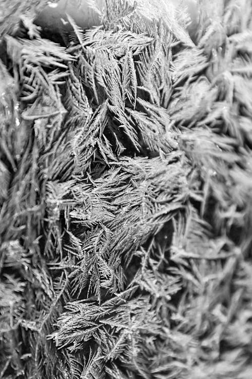 Black and White Close-up of a Frosty Surface