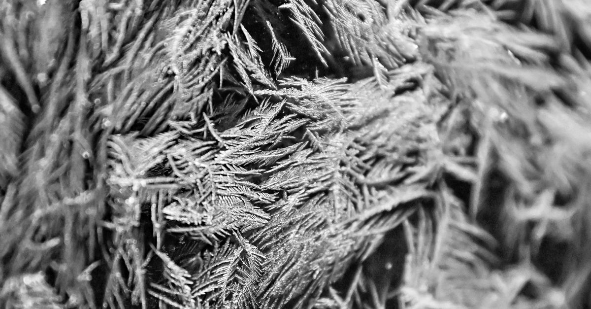 Black and White Close-up of a Frosty Surface · Free Stock Photo