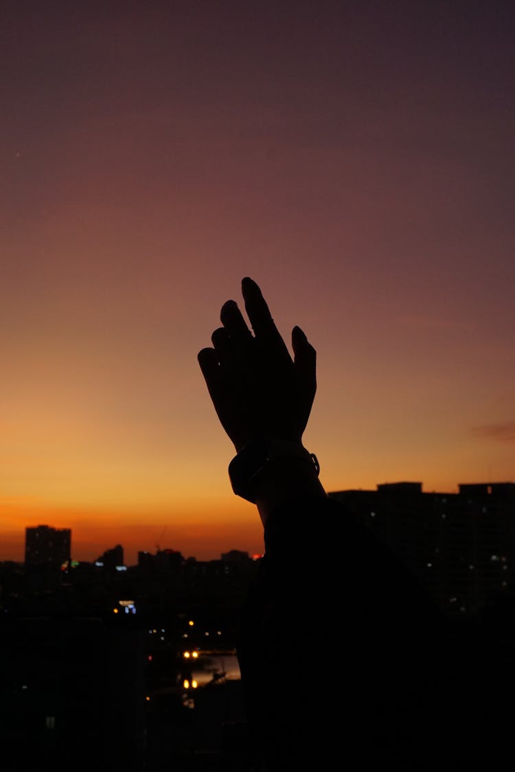 Silhouette Of A Person's Hand