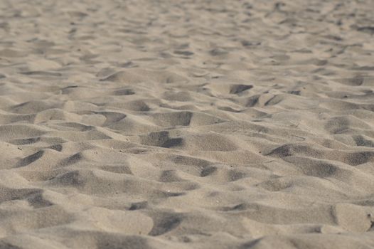 Detailed texture of a sandy beach surface under daylight, capturing natural patterns.