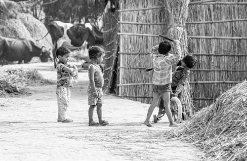 Little Children Playing Together in a Village on the Background of Animals on a Pasture 