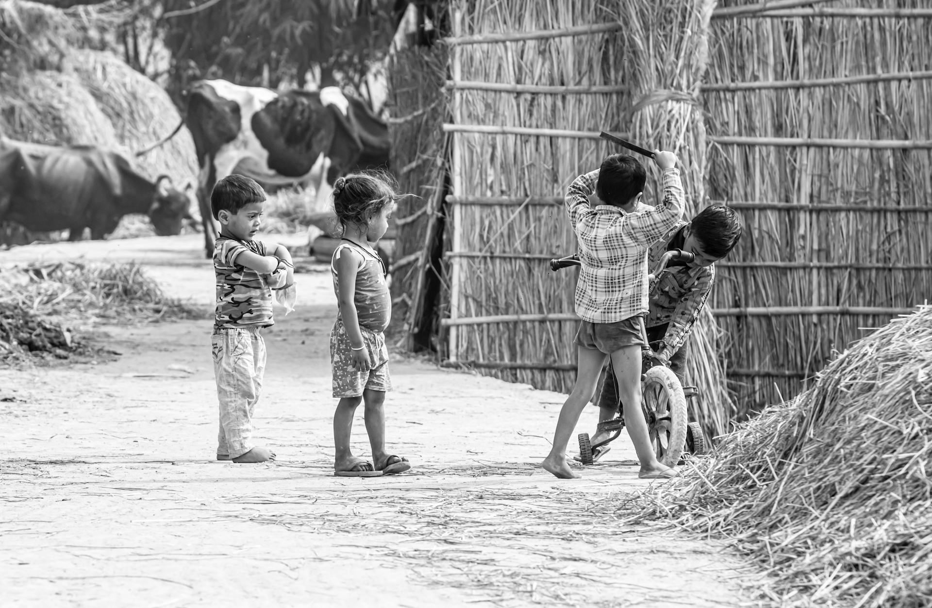 Little Children Playing Together in a Village on the Background of Animals on a Pasture