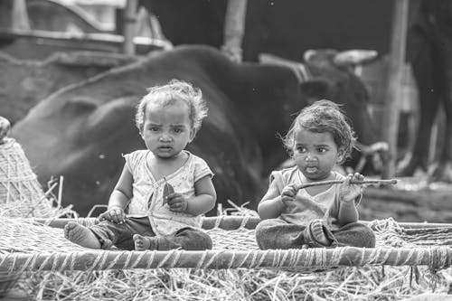 Black and White Photo of Two Little Girls Sitting at a Farm near a Cow 
