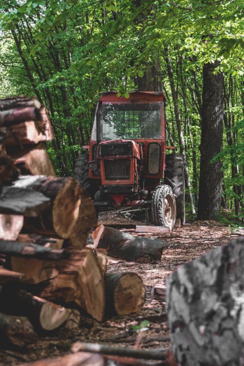 Free An old tractor sits in a forest surrounded by chopped firewood, evoking a rustic woodland scene. Stock Photo