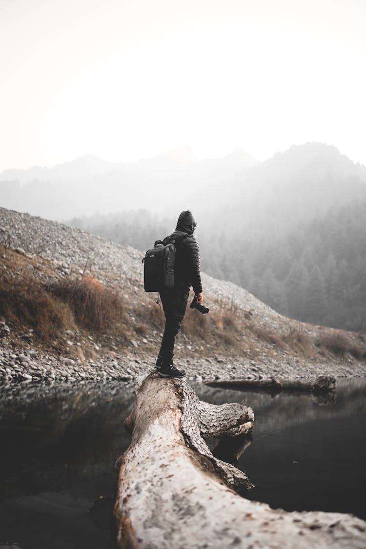 Man With Camera Standing On Tree In Water