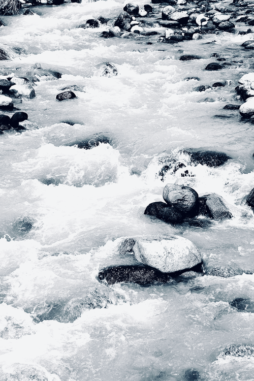 Free Black and white image capturing the motion of a stream flowing over rocks with selective focus. Stock Photo