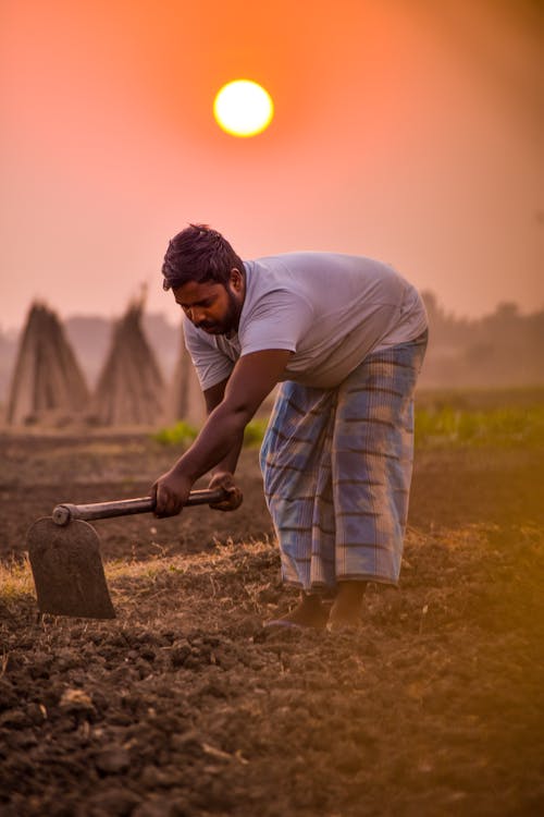 Farmer Working in the Field at Sunset 