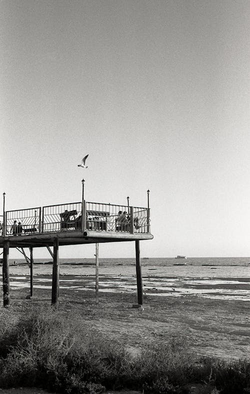 Black and White Photo of an Observation Platform at the Beach 