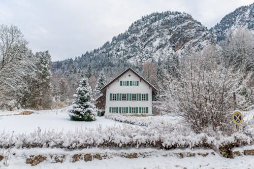 Free Winter in a Rural Area Stock Photo