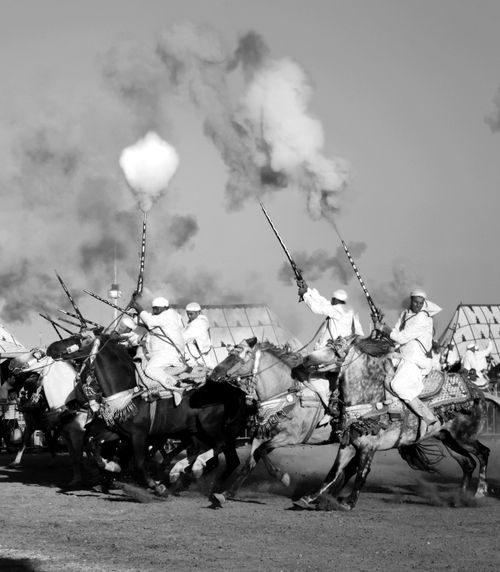 Free Black and white photo of Moroccan horsemen participating in the traditional Tbourida performance. Stock Photo