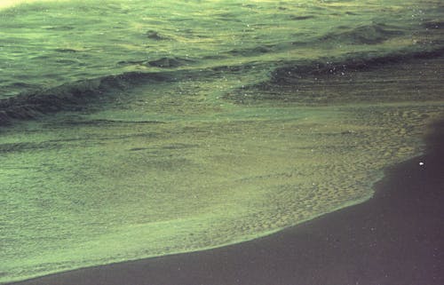 Foto profissional grátis de areia, ecológico, litoral