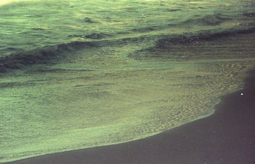 Foto d'estoc gratuïta de , contaminació, la contaminació de l'aigua