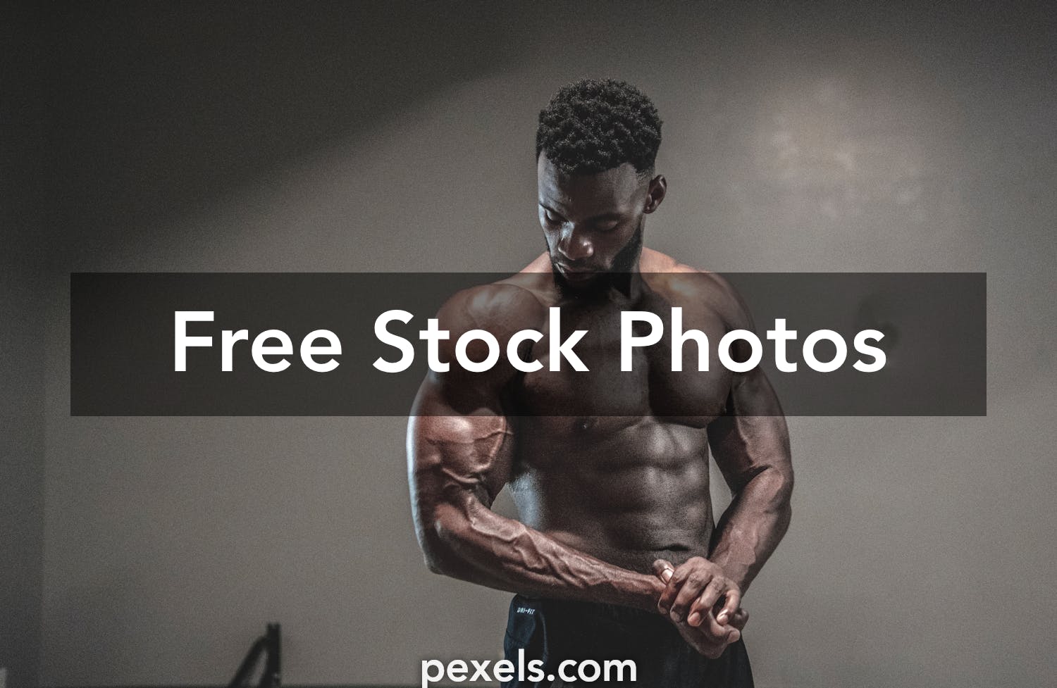 Fitness Model Photos, Download The BEST Free Fitness Model Stock Photos &  HD Images