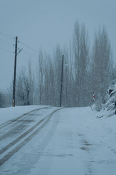 Snow-covered road with trees in a winter landscape during an active snowfall.