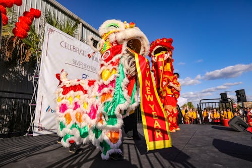 Dragon Mascot During a Chinese New Year Parade