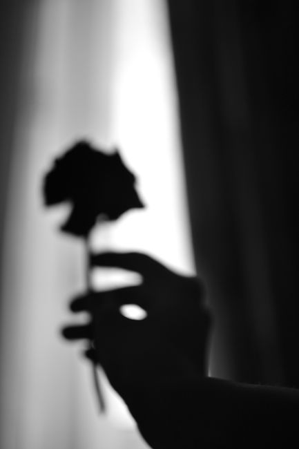 Artistic black and white photo of a hand holding a rose, capturing emotional depth.