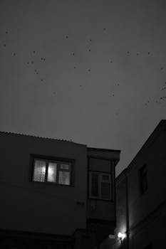 A black and white photo depicting a cityscape at night, featuring illuminated windows and a flock of birds.