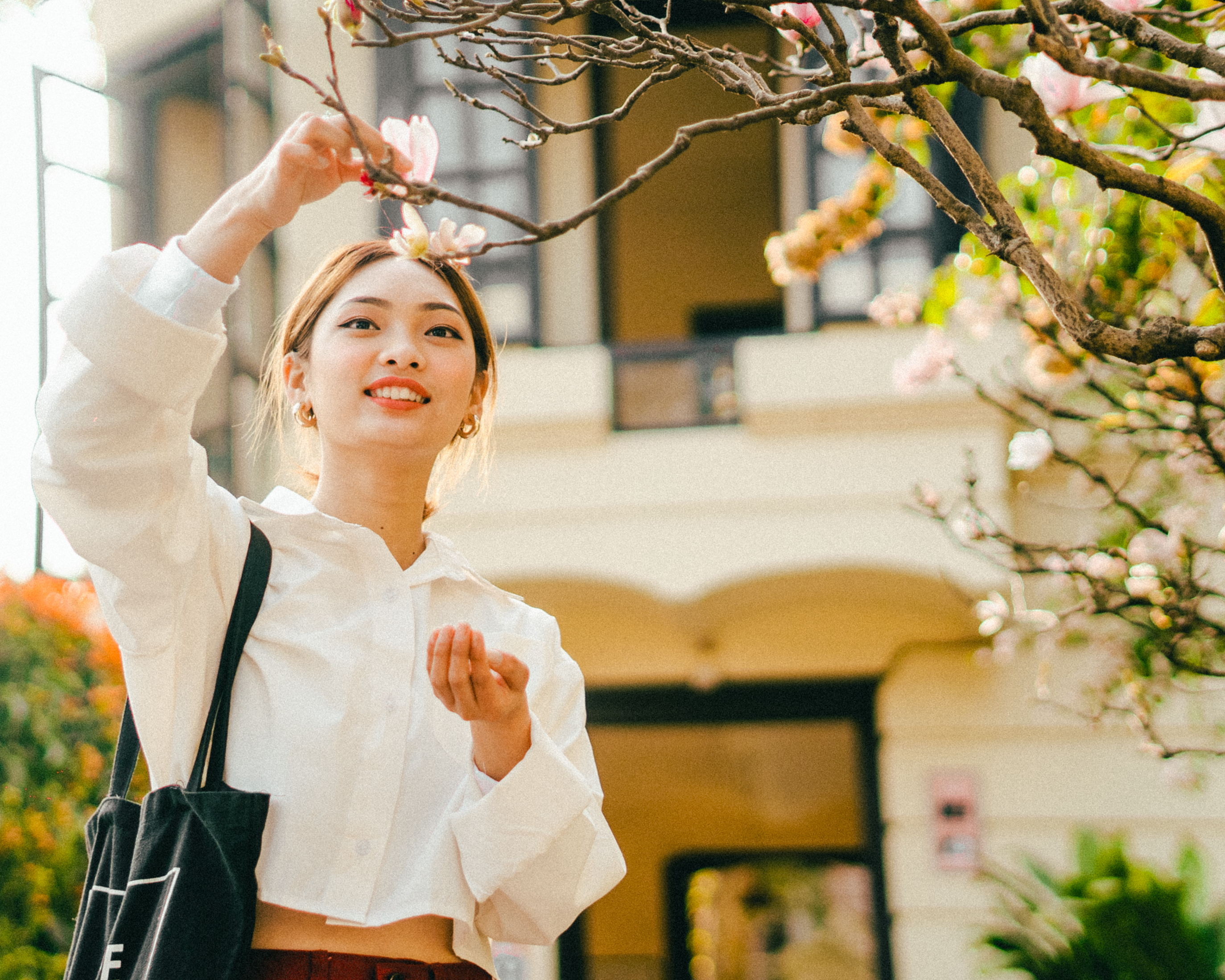 Moshi Moshi upbeat on lifestyle shopping — Photo by Gaurav Ranjitkar on Pexels