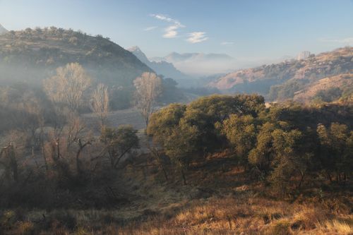 Free Serene misty mountain landscape with trees and hills at sunrise, embodying nature's tranquility. Stock Photo