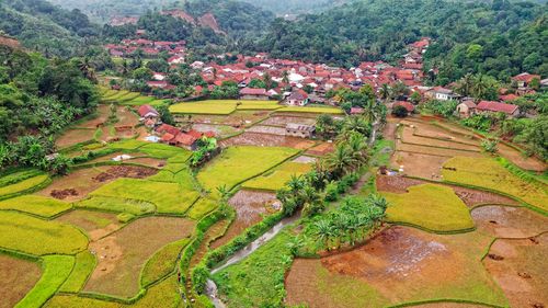 Free Aerial view of Rumpin's lush rice terraces and traditional village in Indonesia. Stock Photo
