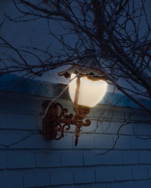 Free A vintage lamp casts a warm glow on a brick wall, framed by bare branches in a night scene. Stock Photo
