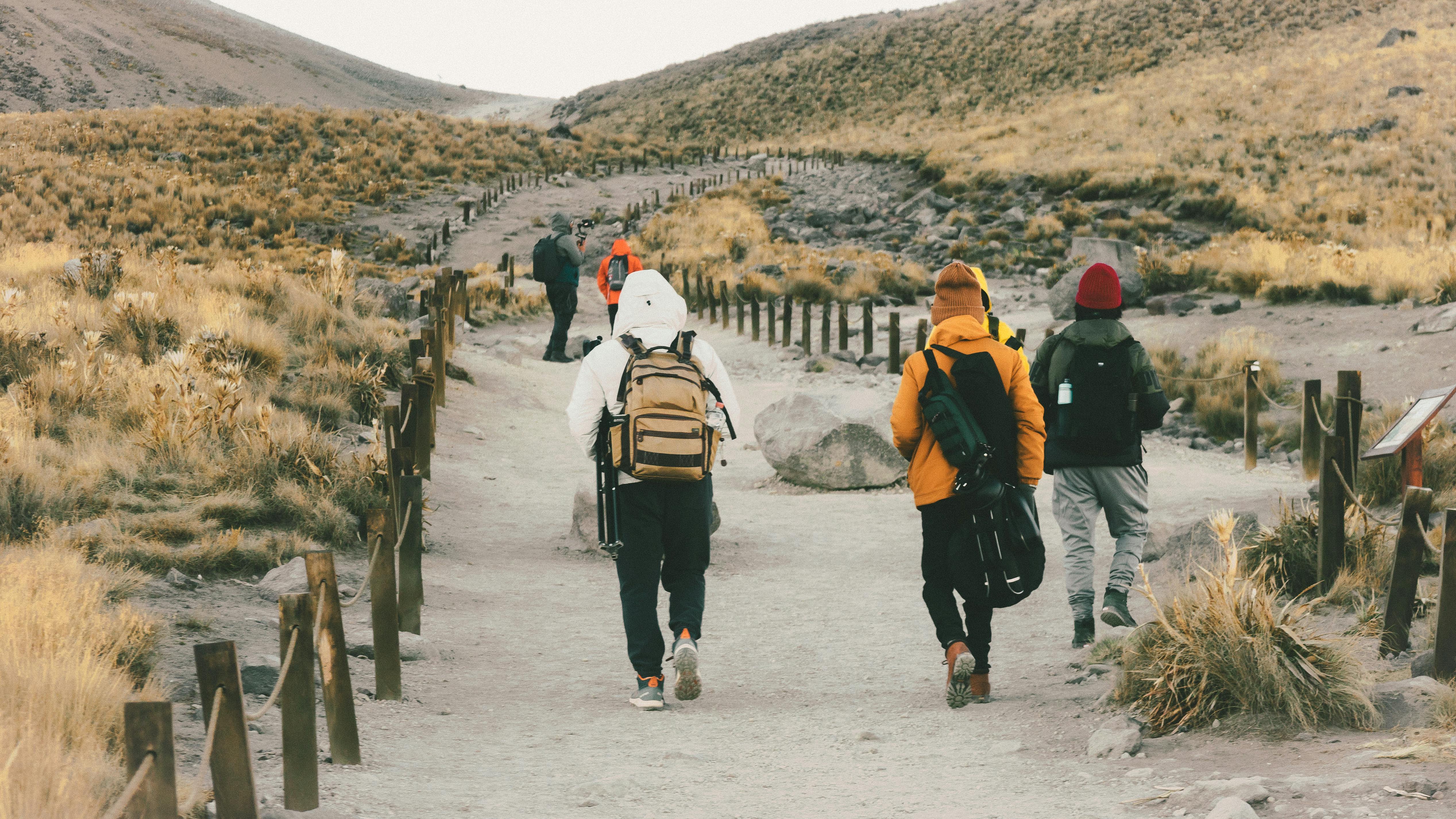 Is New Zealand Safe For Tourists? What Travelers Should Know — Photo by Andrea Román on Pexels
