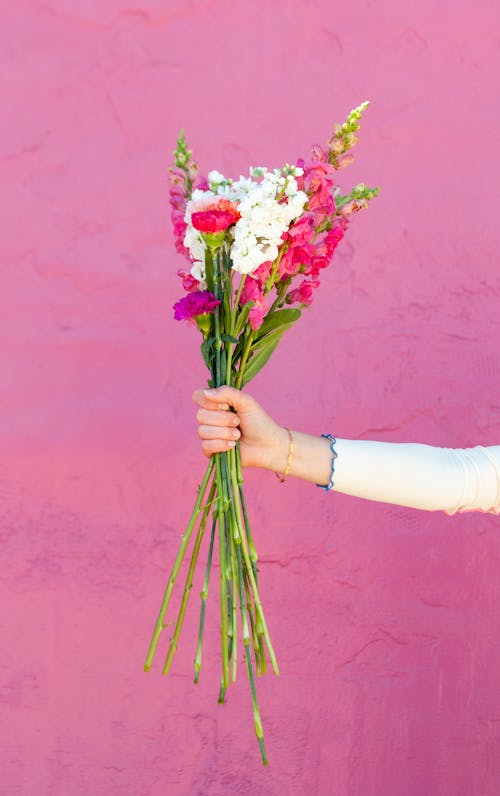 Kostnadsfri bild av blommor, bukett, fjäder