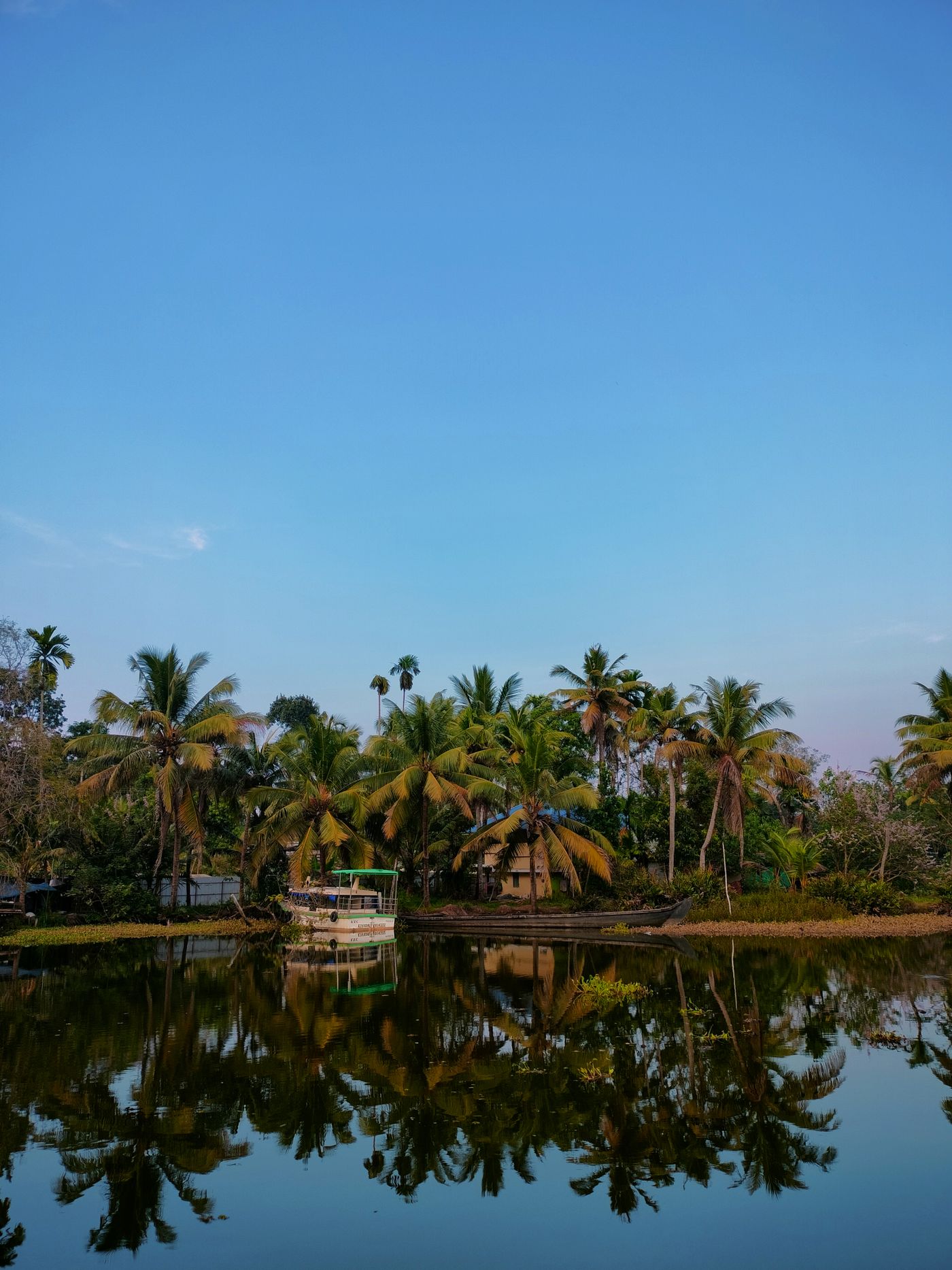 Palms and a moored boat reflected in still backwater — Kumarakom, representative image