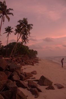 Scenic tropical beach at sunset with palm trees and a serene atmosphere.