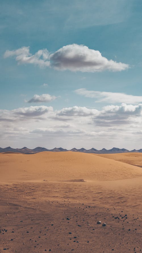 Sandy Desert Landscape